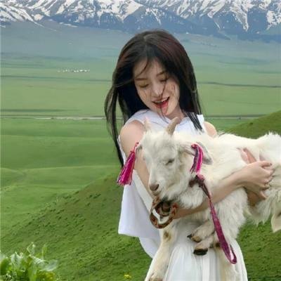 历险小恐龙6首屏海报