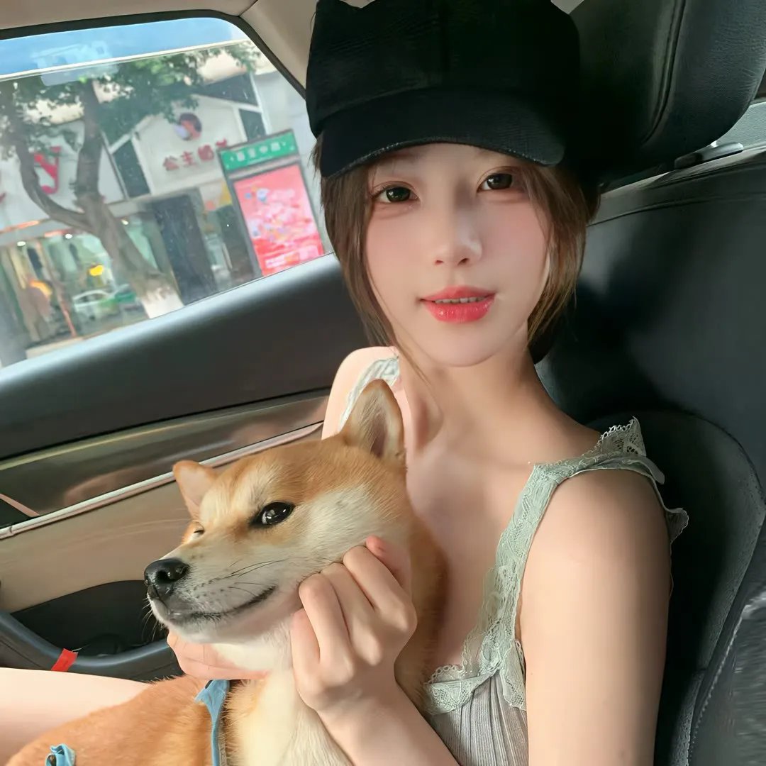 爱情上上签封面