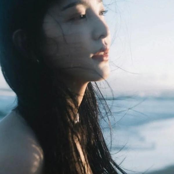 部长做了一个梦封面